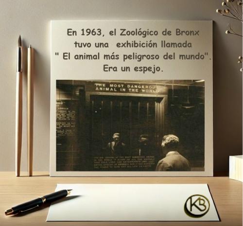 Frases030